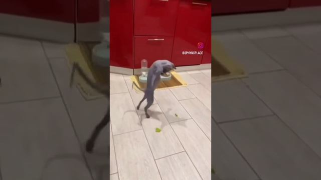 Удивление или радость смотреть онлайн