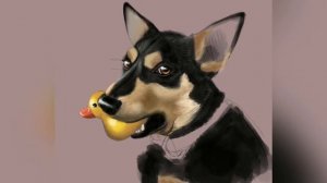Как нарисовать собаку \ Процесс рисования в Procreate