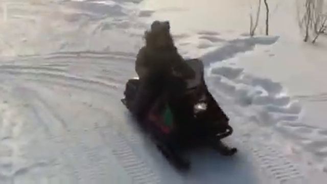 Миньяр снежок смотреть онлайн