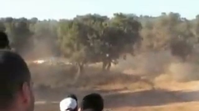 Gimkane Sardegna olzai telti buddusò смотреть онлайн