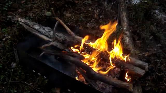 Стих для друга, сочинил на природе. смотреть онлайн
