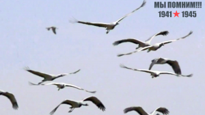 Ольга КОРНЕЕВА - "Когда вы песни на земле поёте" (слова Е. Евтушенко, музыка Е. Крылатов)