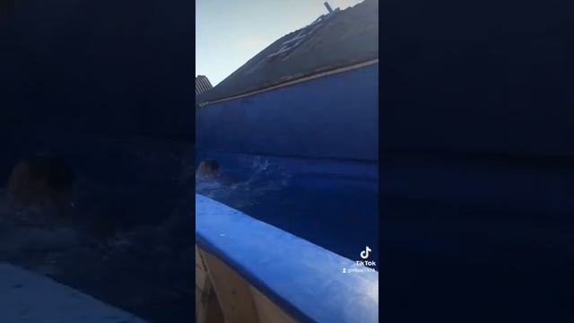 басейн своими руками.как сделать найдешь в моих видео смотреть онлайн