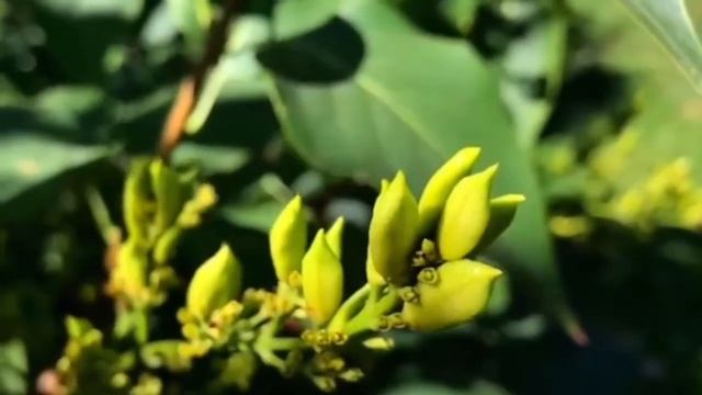 Медитация «Побудем в здесь и сейчас» смотреть онлайн