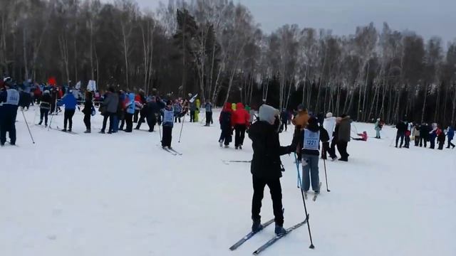 Лыжня России 2015 в Новосибирске смотреть онлайн