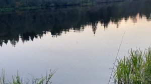 Рыбалка на Нерли. Поречье, Калязинский район, Тверская область