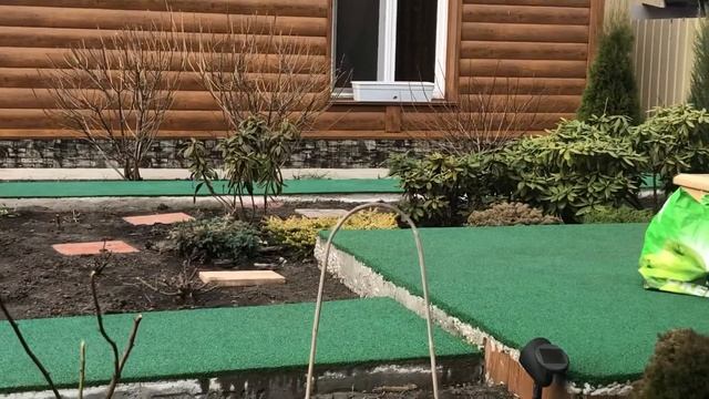 Рододендроны на Даче в Тюмени. смотреть онлайн