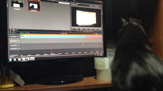 Ты что там делаешь?! Я тебе сейчас помогу! Куда же ты?!