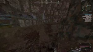 НАЙМЫ ИЛИ ЗАВЕТ? ЧТО ВЫБРАТЬ? | STALCRAFT