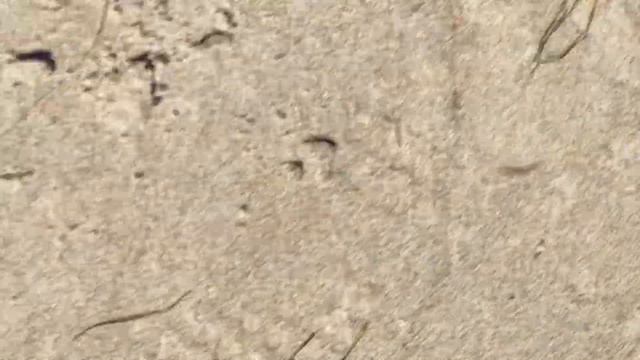 Гигантский собор. День 15 Путешествие смотреть онлайн