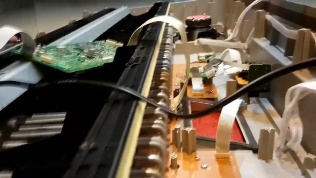 How to change the lights Keyboard YAMAHA DGX640 ( Tutorial ) смотреть онлайн