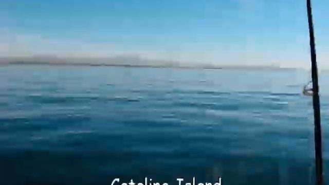 Fishing For Mackerel Off Newport Beach, California 2010