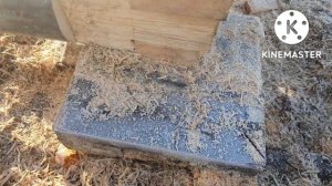 Закладываем первый венец сруба. Нюансы. Ошибки. Школа рубки С-Пб.