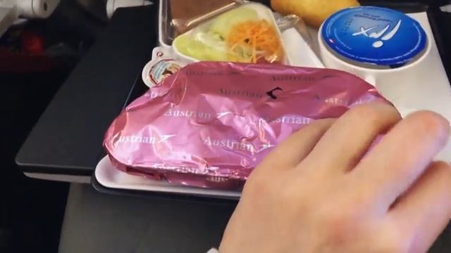 МОЙ ОПЫТ. ПЕРЕЛЕТ В АМЕРИКУ. ПРОГРАММА U4U. КАК ВСЕ БЫЛО 12/17/22