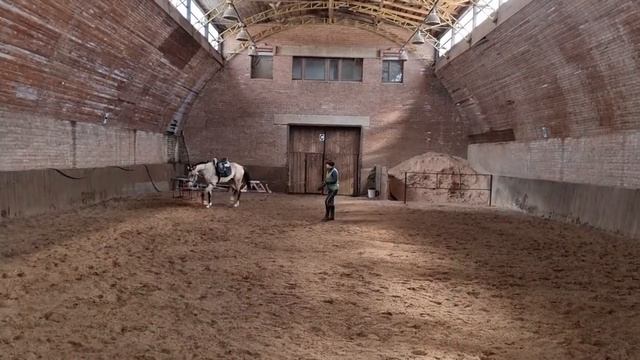 Продажа Ахалтекинских лошадей Sale of Akhal-Teke horses https://akhaltekellc.com смотреть онлайн