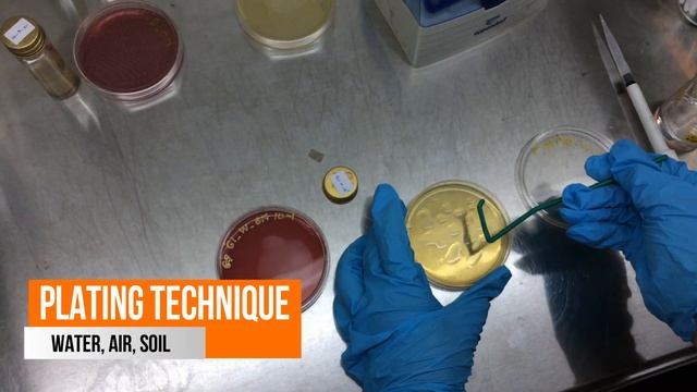 Identifying Microbial Diversity In Water, Soil and Air смотреть онлайн
