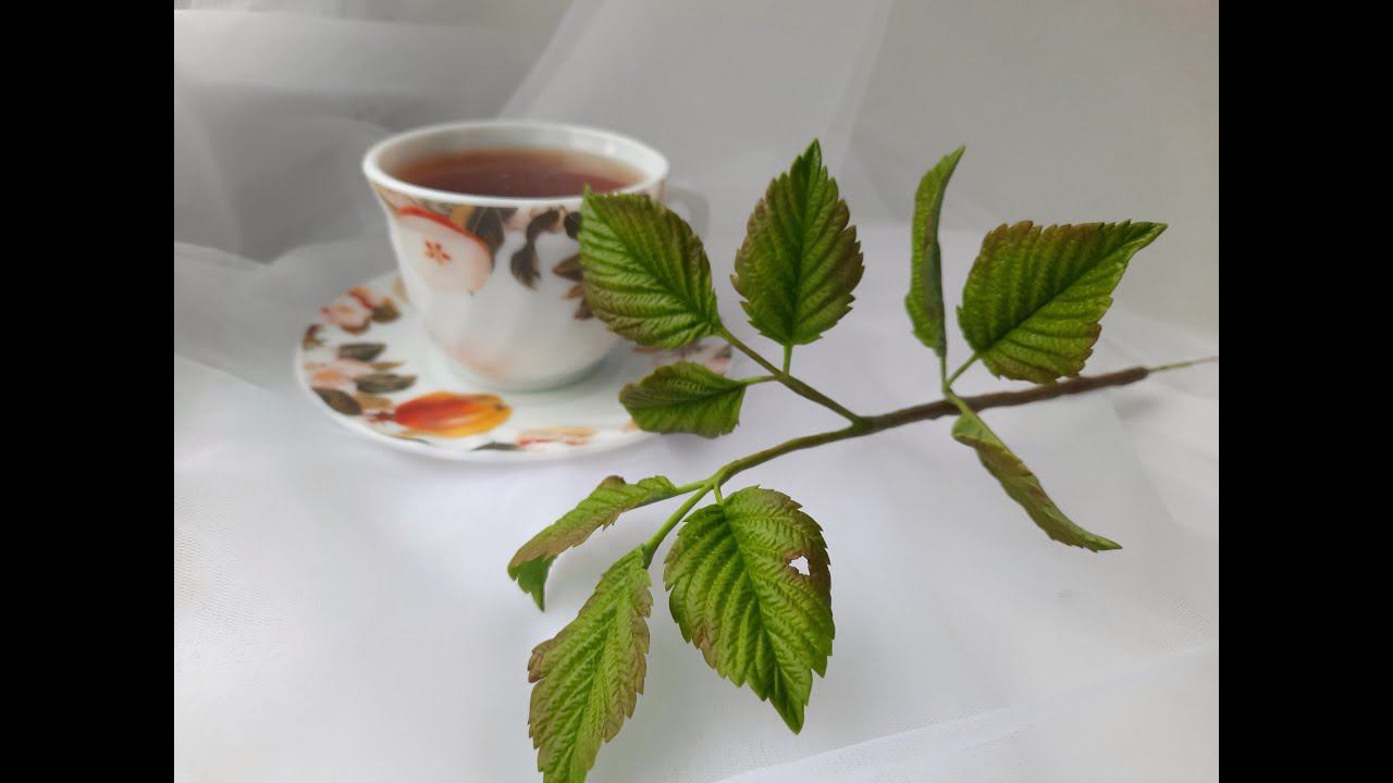 МК Листья малины из холодного фарфора. Для букета.