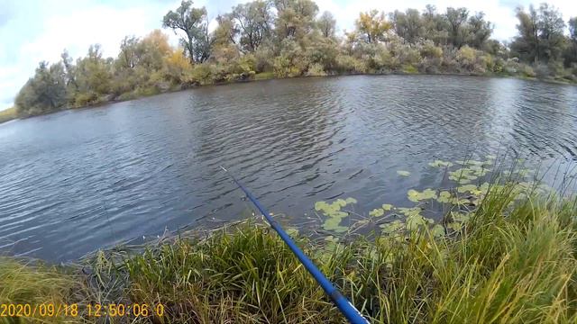 Рыбалка в августе Казахстан Щука на блесну смотреть онлайн