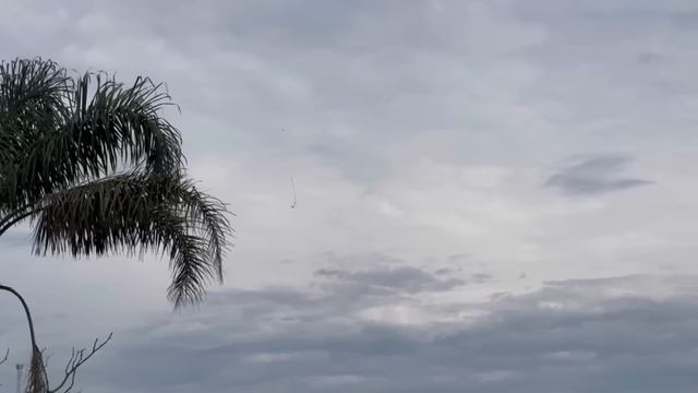 JEFINHO O CABRA DA PESTE CORTOU MUITA PIPA NO PUXÃO смотреть онлайн