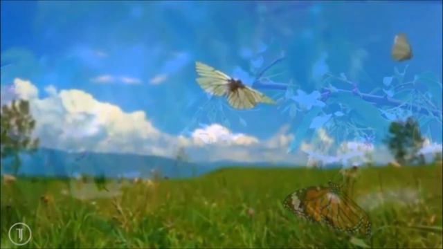 Alda Merini - La Vergine смотреть онлайн