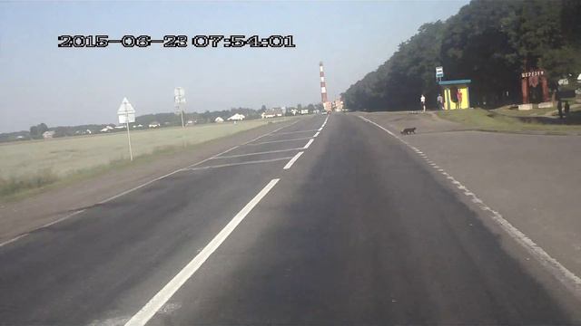 Говорят не повезет смотреть онлайн