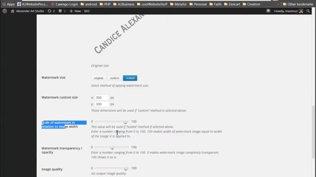 FREE WATERMARK SOFTWARE FOR WORDPRESS PLUGIN TUTORIAL смотреть онлайн