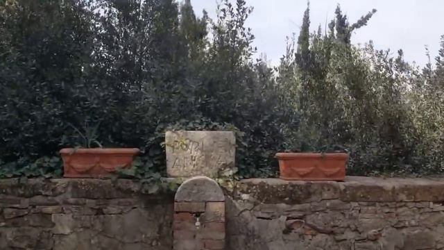 Италия."Коро2нА".ЗЕЛЕНЫЕ ПАСПОРТА для путешествий могут получить исключительно факультативную форму смотреть онлайн