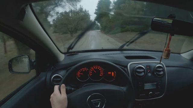 POV Driving | Sandero Stepway II смотреть онлайн