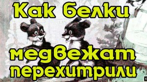 Как белки медвежат перехитрили.mp4