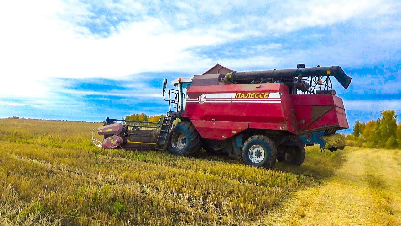 Убираем пшеницу комбайном Палессе GS-12, и сразу небольшие поломки. Опять работаю на Урале. смотреть онлайн