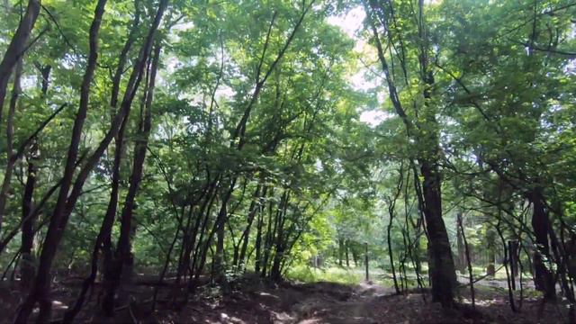 8 июня 2023 поход из Советского суда Ростова-на-Дону смотреть онлайн