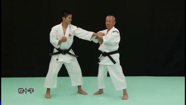 Secret Eri Juji. Shorinji Kempo Juho. Sensei Arai. 少林寺拳法 技. 武道少林寺拳法