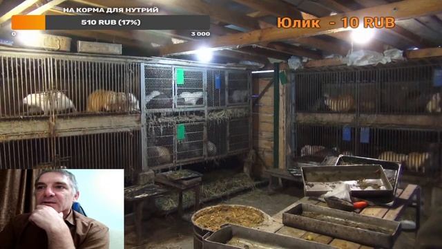 Прямая трансляция пользователя НУТРИЯ ДЛЯ НАЧИНАЮЩИХ Просто Андрей смотреть онлайн