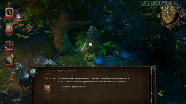 Divinity Говорящий Гриб Икари и Три Загадки [ #Divinity Original Sin 73] смотреть онлайн