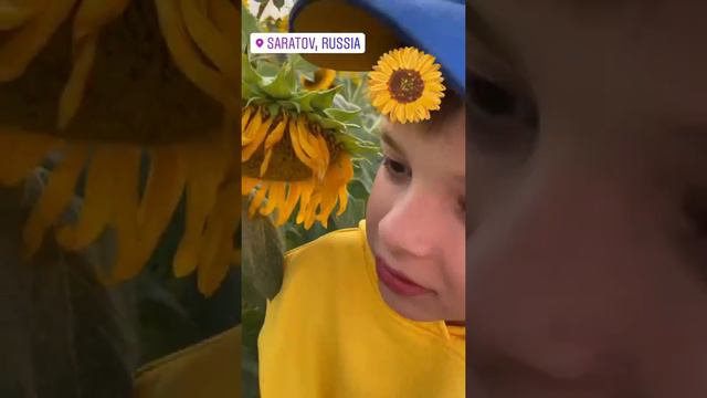 Ольга Кабо, нежна фотосессия с сыном в поле подсолнухов смотреть онлайн