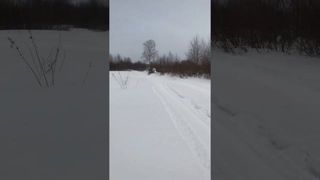 ТАЙГА ПАТРУЛЬ 550 SWT смотреть онлайн