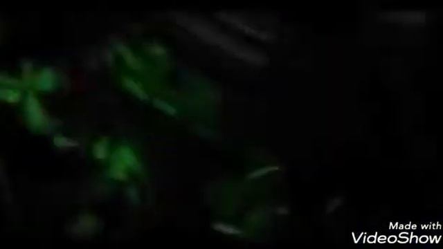 Какое интро лучше???Пишите в коменты смотреть онлайн