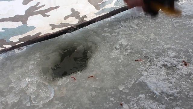 Ловля карася Зимой/Зимний карась/Зимняя рыбалка 2021. смотреть онлайн