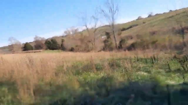 CFMOTO C-force 600 2021 смотреть онлайн