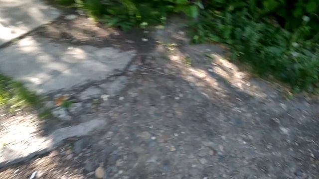 Прогулка. Академгородок, г. Красноярск, лето 2023г смотреть онлайн