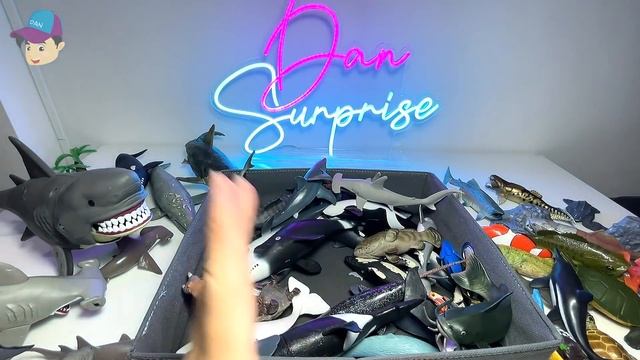 Awesome Sea Animals - Sharks Dolphins Whales Fish Turtles Seals Marine Pilot Whale Humpback Narwhal смотреть онлайн