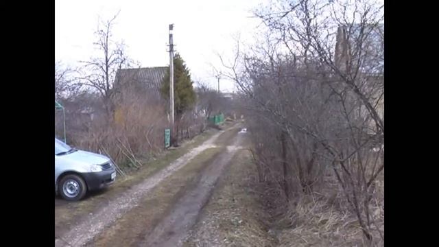 Щенок лабрадор 3 месяца смотреть онлайн