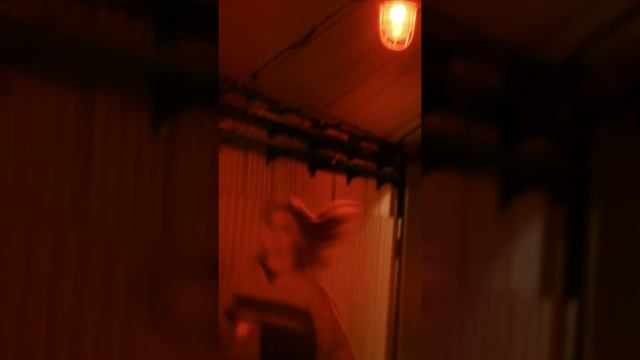 A CINEMATIC SHORT #143 | Nikon D3300 | Helios 44-2 смотреть онлайн