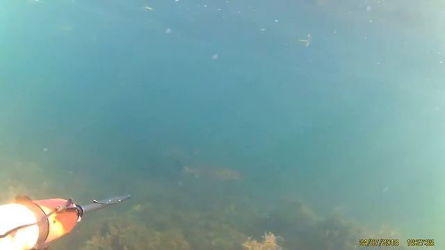 Охота в черном море смотреть онлайн