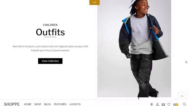 Shoppe WordPress WooCommerce Theme Quick Demo смотреть онлайн