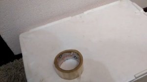 Как перевозить цыплят зимой?