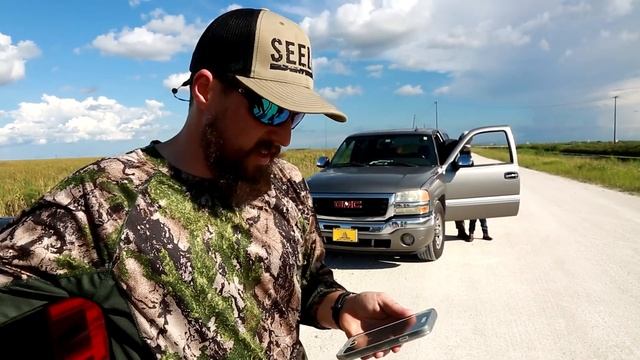 La Floride envahie par les alligators смотреть онлайн