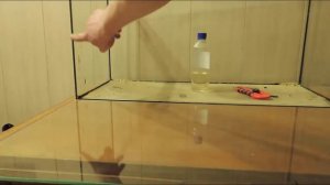 Ремонт аквариума. Замена треснутого стекла своими руками