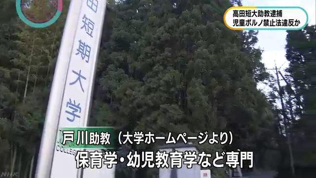 幼児教育学専門の戸川俊・高田短大助教、児童ポルノで逮捕　三重県 смотреть онлайн
