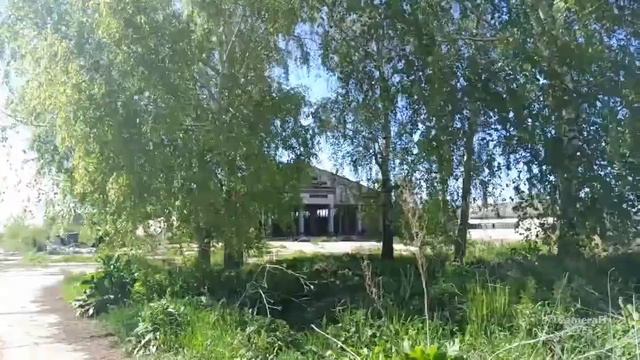 Хватит болтать, покажи делом! Вольная птица, еда навсегда! смотреть онлайн